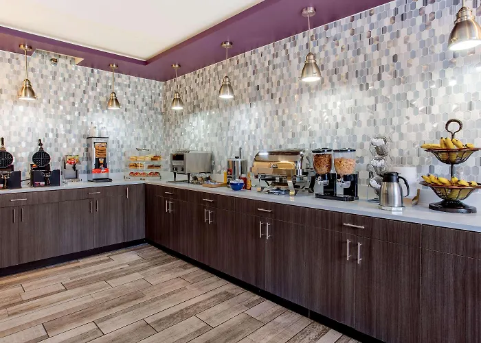 Hotel Chicago O'hare Airport Elk Grove Village