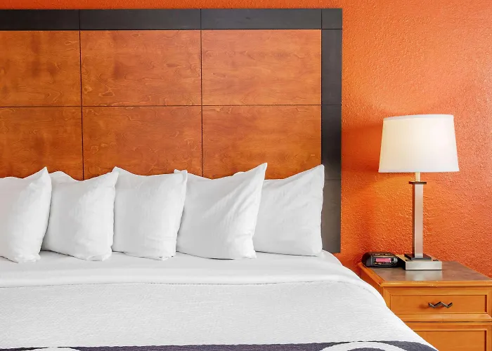 Chicago O'hare Airport Hotel 3*