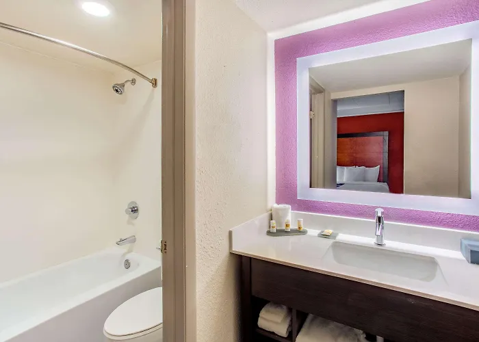 Hotel Chicago O'hare Airport Elk Grove Village